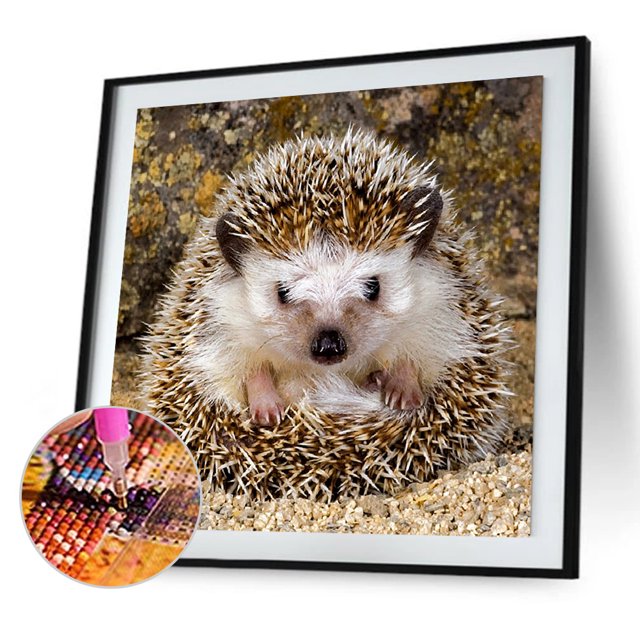Cuadros Decorativos 5D bricolaje taladro cuadrado completo diamante pintura erizo Kit decoración del hogar arte artesanal Ehuebsd embutido en tela