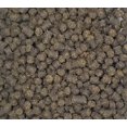thumbnail image 4 of Invert Aquatics Soft Pellets for Axolotls & Other Small Amphibians - Axolotl Food (1.5 oz 42.5g), 4 of 5