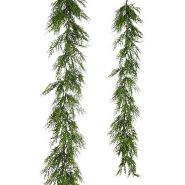 Raz Imports The Greenery Shop 6' Cedar Garland