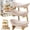 3 Tier Apricot, variant on 3 Tier Oval Fruit Basket Bowl for Kitchen Countertop with Bamboo Stand Rack Tiered Hanging Serving Fruits Vegetable Tray Produce Organizer Wooden Display Holder Stand Vertical Storage