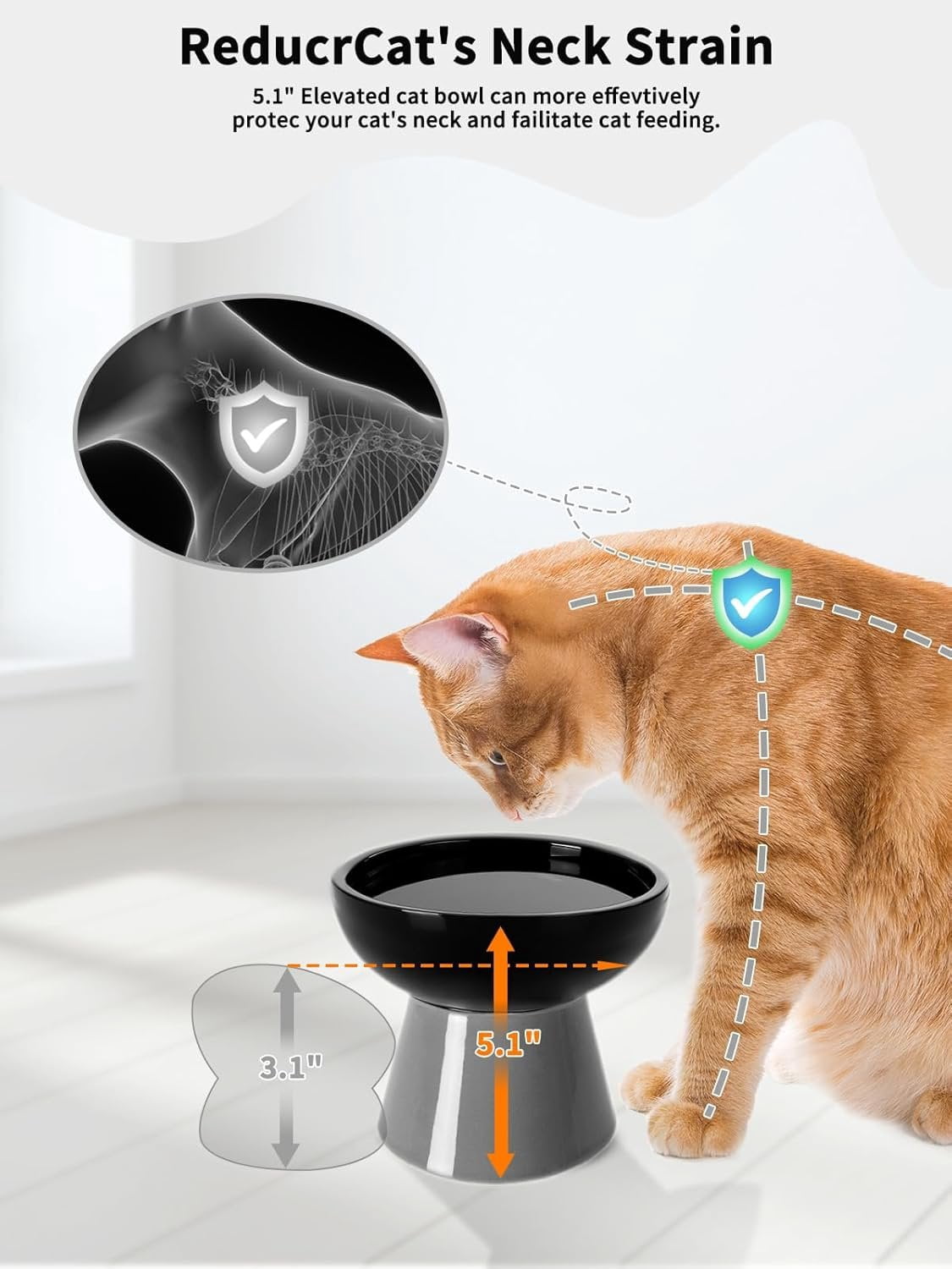 Elevated   and Water Bowls Set, Extra Wide and Raised Ceramic Feeder, Anti-Vomit -Free  Feeding Bowl for Kittens Adult Small Dogs(Black, 2 Pack)