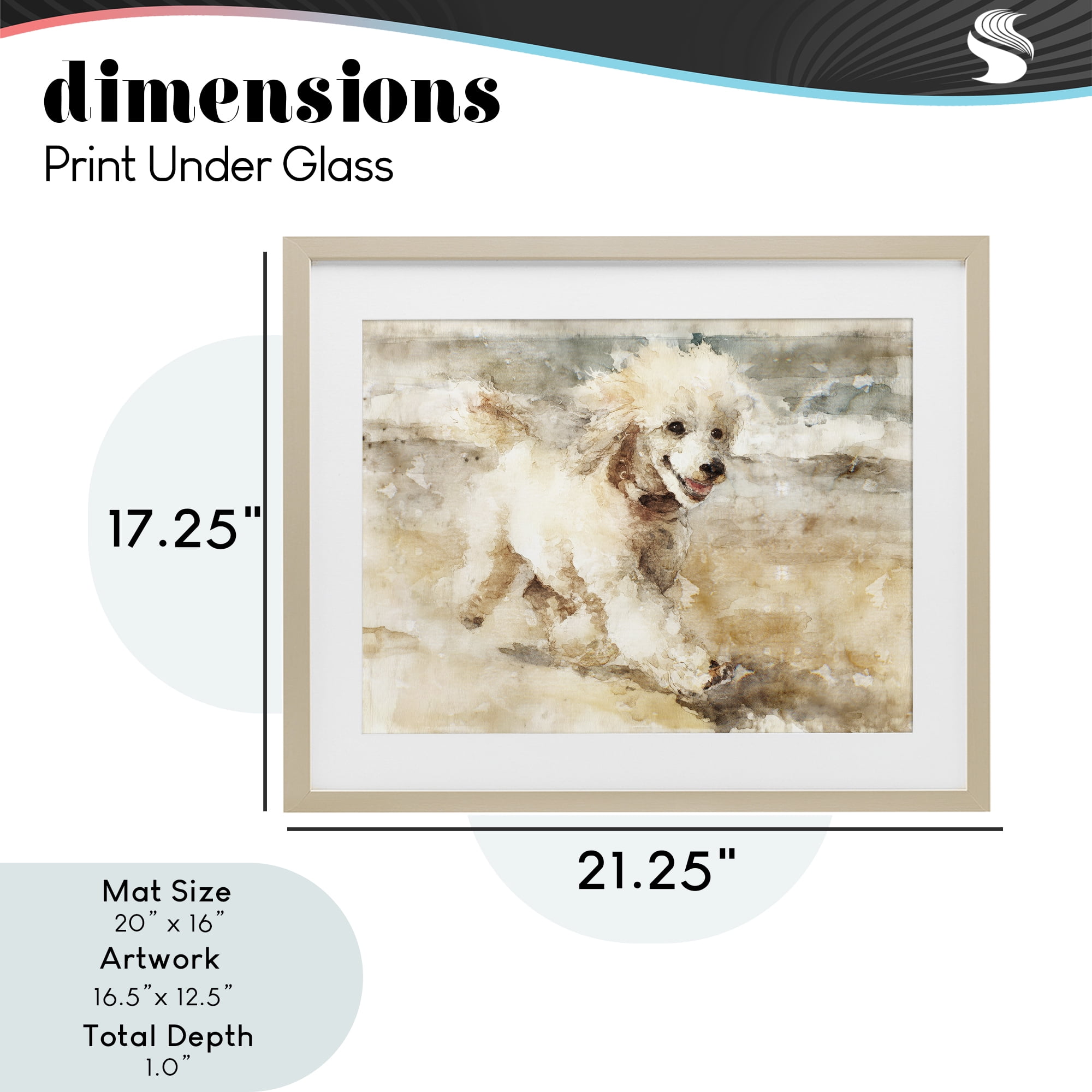 Stupell Industries Coastal Breeze & Poodle Birch Framed Print Under Glass, design by Svetlana Aleynikova
