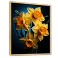 thumbnail image 2 of Designart "Dancing In Yellow And Orange Daffodil Blooms" Daffodils Floater Framed Canvas Prints, 2 of 5