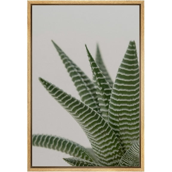 wall26 Framed Canvas Print Wall Art Southwest Rustic Desert Striped Snake Plant Nature Wilderness Photography Realism Floral Botanical Multicolor for Living Room, Bedroom, Office - 16"x24"