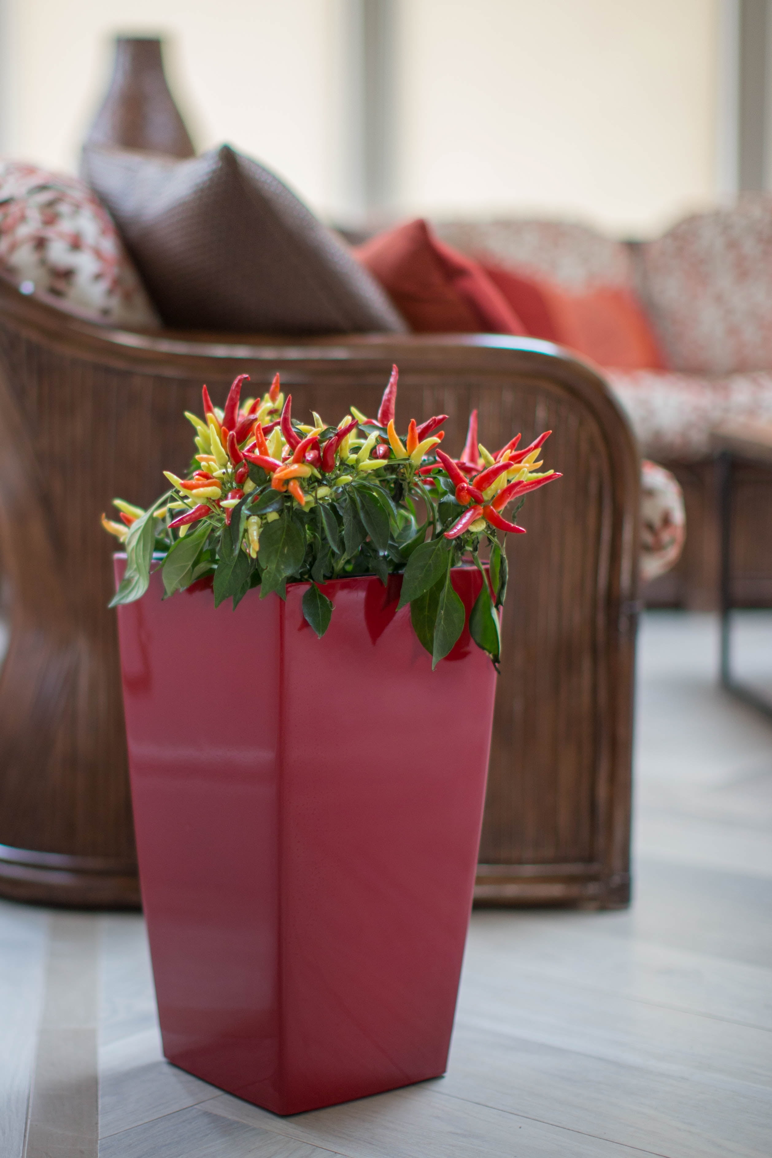 Algreen Modena 30" Self-Watering Planter, Square Taper, Gloss Red