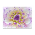thumbnail image 2 of Gango Home Decor Dahlia Close Up III by Kathy Mahan (Printed on Paper); One 24x18in Fine Art Paper Giclee Print, 2 of 4