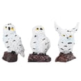 thumbnail image 2 of Carefully Molded And Crafted Garden Decoration, Simulation Owl, Simulation Props Restaurant For Coffee Shop, 2 of 8