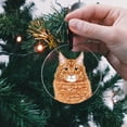 thumbnail image 5 of WIRESTER Large 3 inch Acrylic Ready to Hang Ornament, Hanging Ornaments for Christmas Tree Holidays Party Home Office Xmas Tree Decoration Gift - Ginger Orange Tabby Maine Coon Cat, 5 of 6