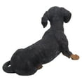 thumbnail image 4 of Hi-Line Gifts 19.5" Crawling Dachshund Outdoor Garden Statue, 4 of 5