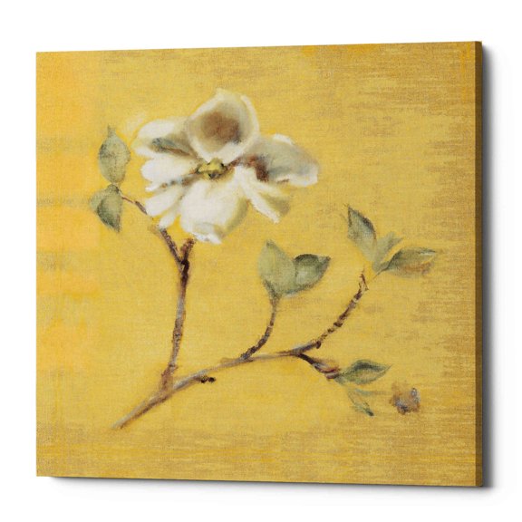 Epic Graffiti 'Dogwood Blossom on Gold' by Cheri Blum, Canvas Wall Art, 18"x18"