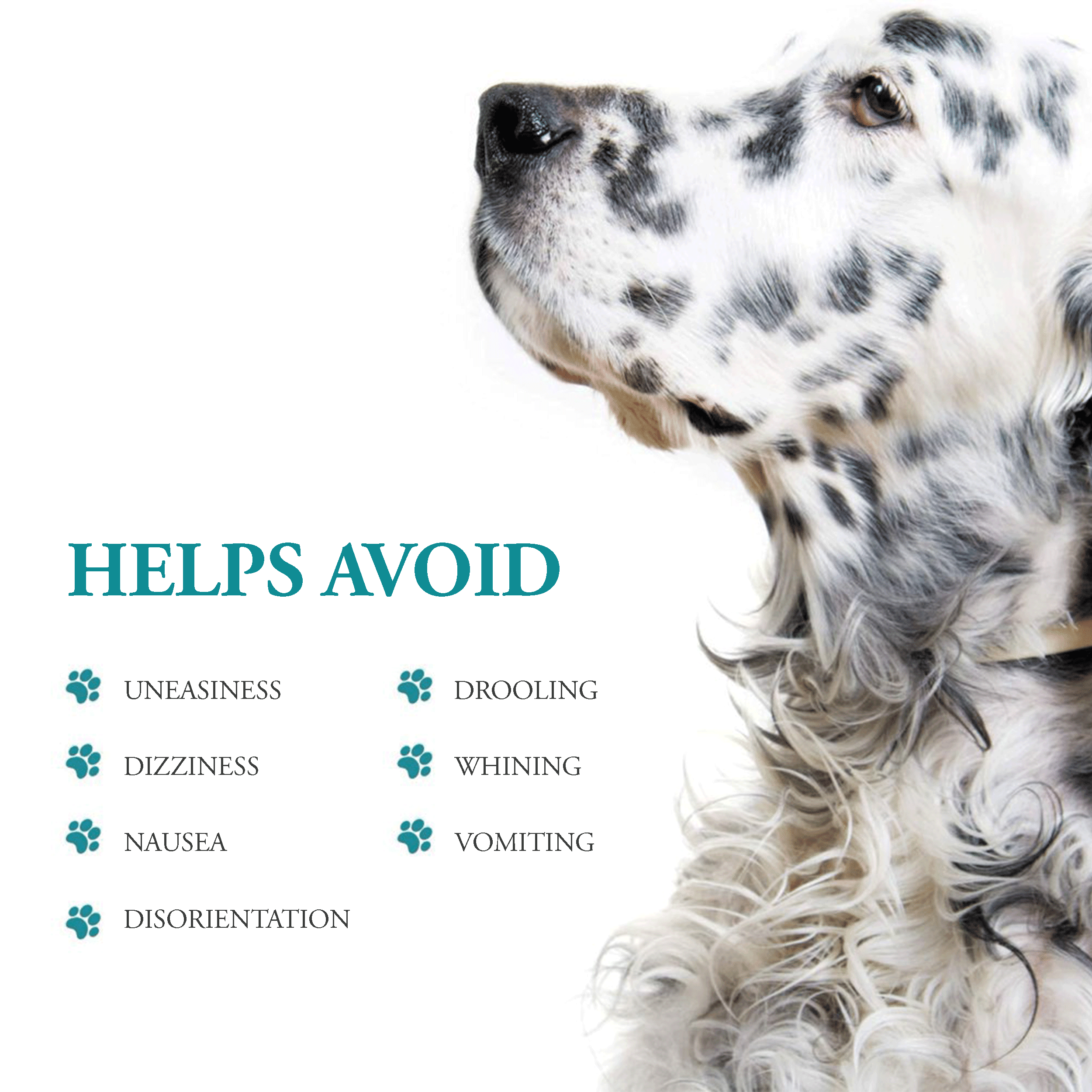 over the counter medicine for vomiting dog