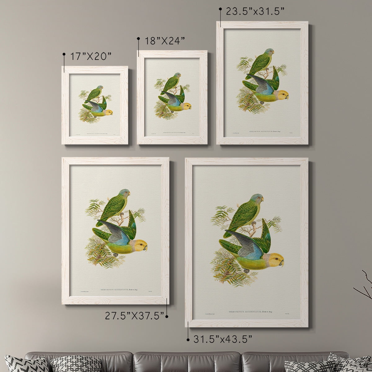 Lime & Cerulean Parrots I - Premium Framed Canvas 2 Piece Set - Ready to Hang