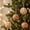 Orange#2, variant on yuHome Christmas Tree Ornament Balls 6 Pack 3.2 Inch Foam Christmas Ball Pendant Set for Tree Decorations Holiday Hanging Ornaments for Home Party Decor Festive Christmas Tree Hanging Decorations