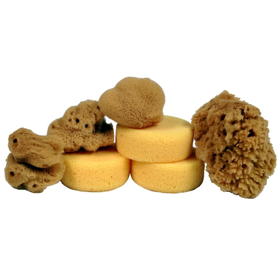 Creative Hobbies® Synthetic and Natural Silk Sponges for Painting, Crafts, Ceramics, Pottery and More, Value Pack of 7 Sponges