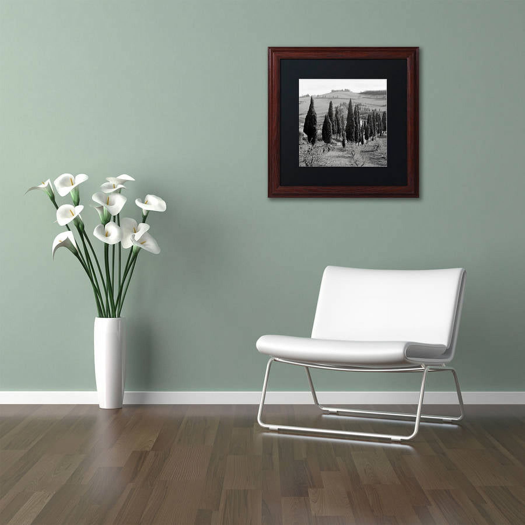 Trademark Fine Art "Tuscany IV" Canvas Art by Alan Blaustein, Black Matte, Wood Frame