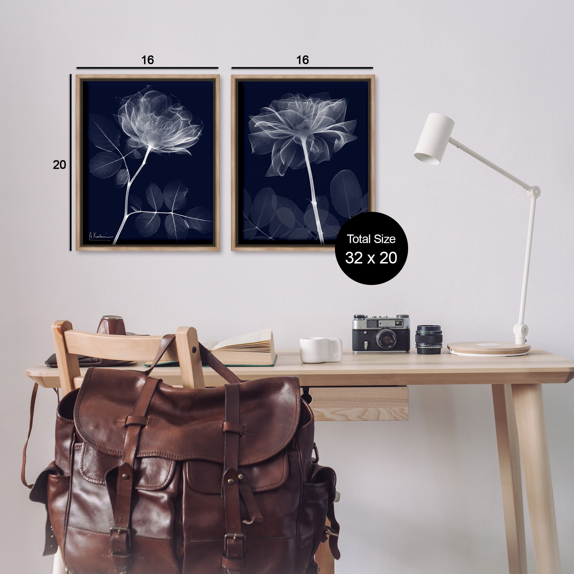 Stupell Industries X-Ray Blossom on Black Botanical & Floral Photography Brown Floater Framed Canvas Art Print Wall Art, 17 x 21, Set of 2