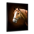 thumbnail image 2 of Designart 'Brown Horse With White Nose Portrait' Farmhouse Framed Art Print, 2 of 4