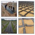 thumbnail image 4 of 1 paño para control de malezas/1x5 m + 12 clavos de plástico para piso/11 cm Paño tejido para control de malezas Material: tela tejida de pp ANGGREK Otros, 4 of 8