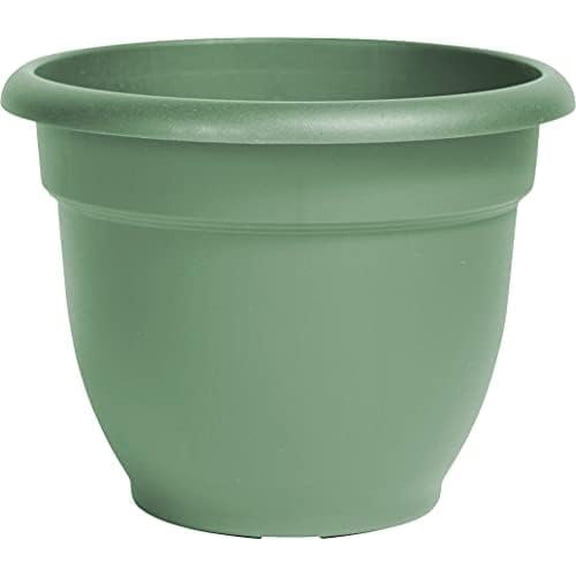 Bloem Terrapot Plant Planter Green Self-Watering - 6 In