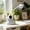 White, variant on Cute Astronaut LED Desk Lamp, Rechargeable Eye-Caring Study Light for Kids