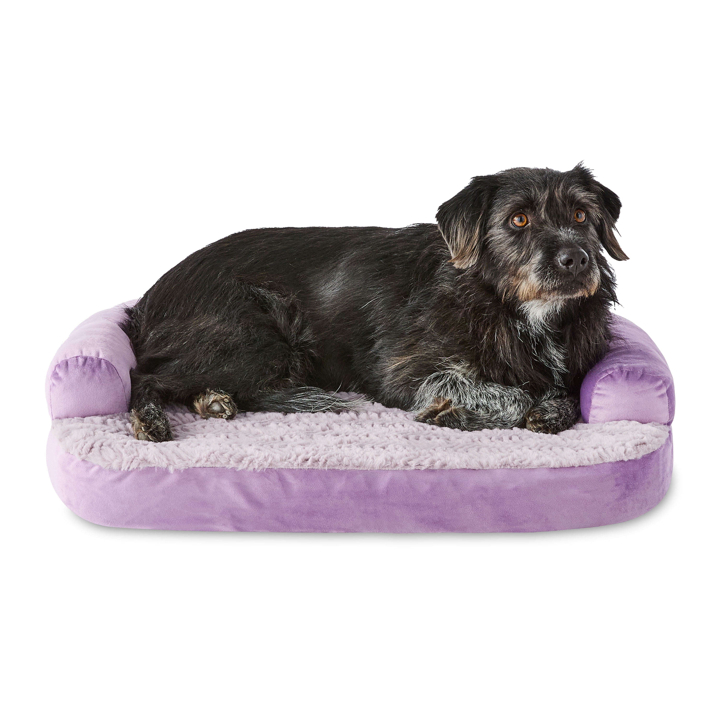 Vibrant Life Small Round Corner Sofa Style Dog Bed, Purple, 23" x 28"