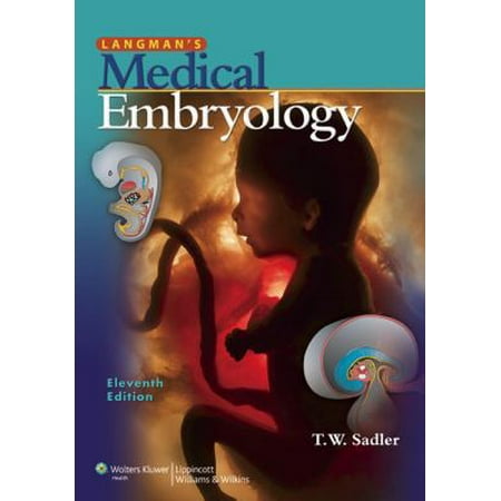 Langman's Medical Embryology [Paperback - Used]