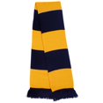 thumbnail image 1 of Result Winter Essentials Team Foulard d'Hiver, 1 of 1