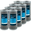 SpiroPure SP-CBR2-10 155268-43 SMCB-2510 Coconut Shell Water Filter