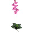 thumbnail image 2 of Nearly Natural Phalaenopsis Stem, Mauve, 12pc, 2 of 3