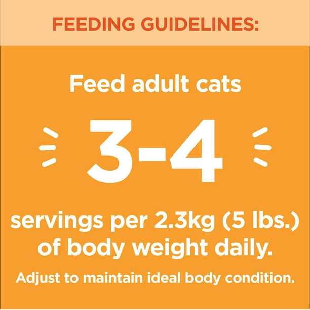 How Much Wet Food Should I Give My Cat: Expert Feeding Guide