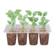 thumbnail image 4 of Bandeja para sembrar semillas con orificios de drenaje | Kit de germinación de plástico reutilizable de 18 x 14 x 5 cm | Gruesa y duradera para esterillas térmicas | Jardín de hierbas de interior y, 4 of 9