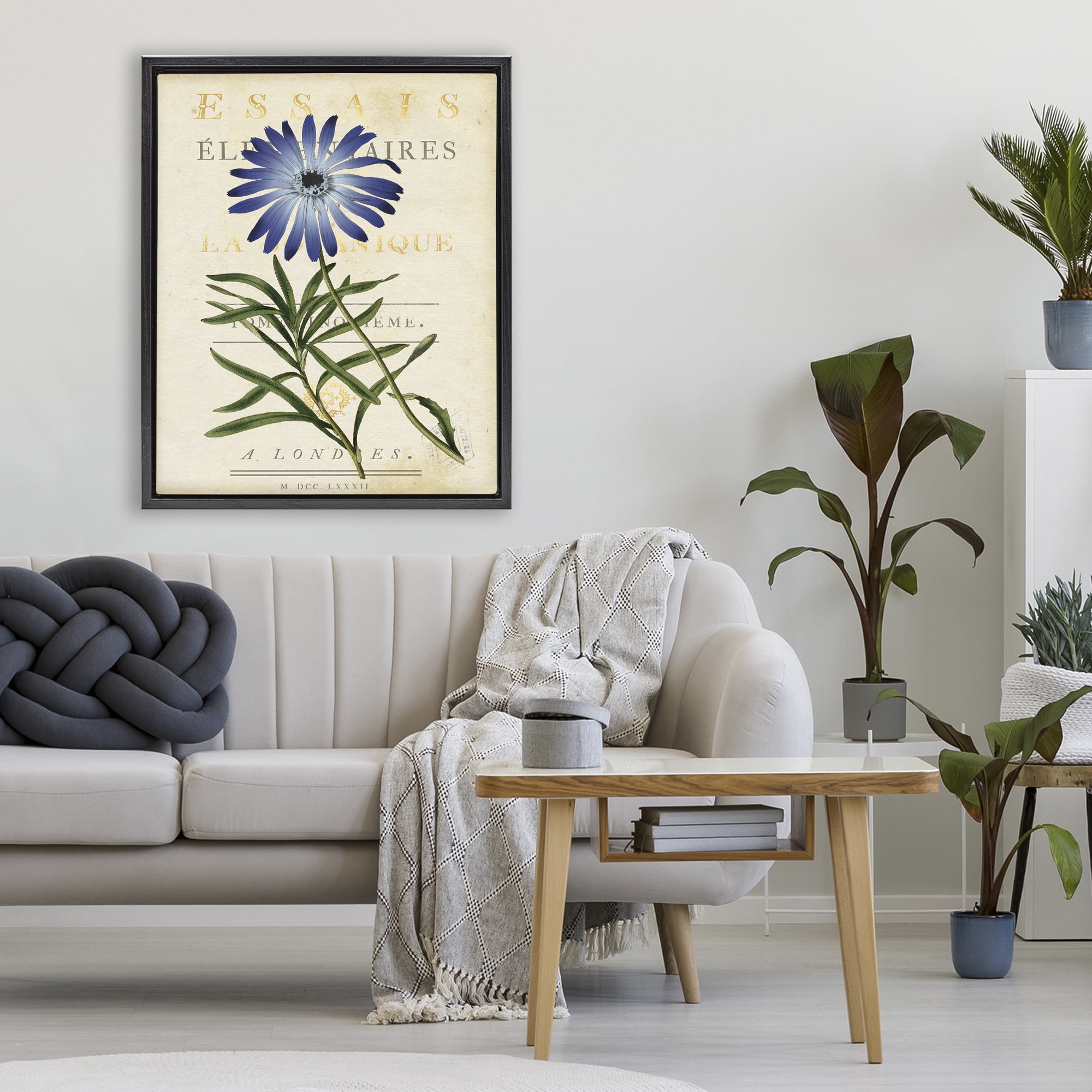 Stupell Industries Natural Botany Daisy Black Framed Floater Canvas Wall Art, design by Susan Arnot