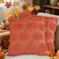 thumbnail image 3 of Lomyolo Pumpkin Fall Pillow Covers 18x18Inch Set of 2 - Embroidered Rust Throw Pillow Covers, Soft Fluffy Cushion Covers for Couch, Sofa, Bed - Halloween Autumn Farmhouse Home Decor - Brown, 3 of 7