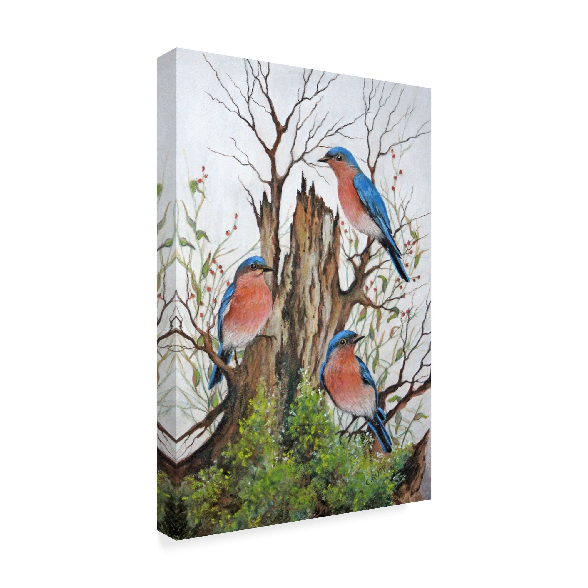 Trademark Fine Art 'A Bluebird Morning' Canvas Art by Carol J Rupp