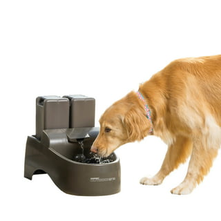 Neareal Dog Water Fountain Dispenser for Large Dogs: Automatic Water Bowl  Dispenser for Cat & Dogs Inside 168oz/5L Big Fountain Water Bowl - Yahoo  Shopping