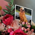 thumbnail image 3 of 3drose, Golden Retriever, 12 Greeting Cards with Envelopes, 3 of 7