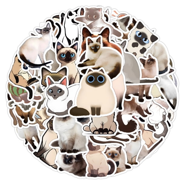 Paquete de pegatinas de vinilo impermeable con forma de gato siamés, anime, 50 unidades