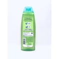 thumbnail image 3 of Garnier Fructis Hydra Recharge Shampoo for Normal to Dry Hair, 13 Fl Oz, 3 of 3