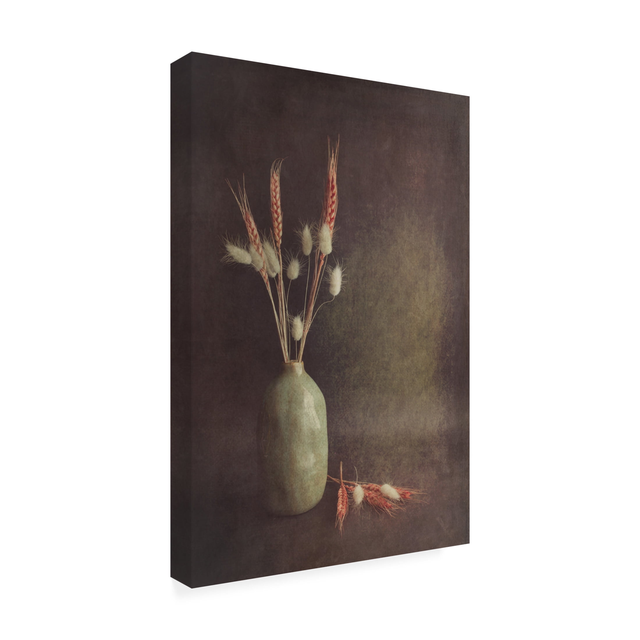 Canvas Wall Art - Cicek Kiral 'Soft Lines' Wall Art for Living Room, Bedroom, or Office Décor by Trademark Fine Art - 16 x 24 Inches