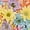 Painted Pastel Multi-Color, variant on Member's Mark Painted Poms, 60 Stems, choose color