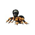 thumbnail image 3 of Spider Pup Costume, 3 of 3