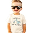 thumbnail image 4 of Dinosaur Big Bro Shirt for Boys New Big Brother Dino Sibling T-Shirt Natural Shirt 18 Months, 4 of 5