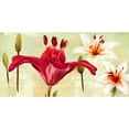 thumbnail image 3 of Art Atelier Alliance 18x11 Black Modern Framed Museum Art Print Titled - Bursting Lilies Garden 1, 3 of 5