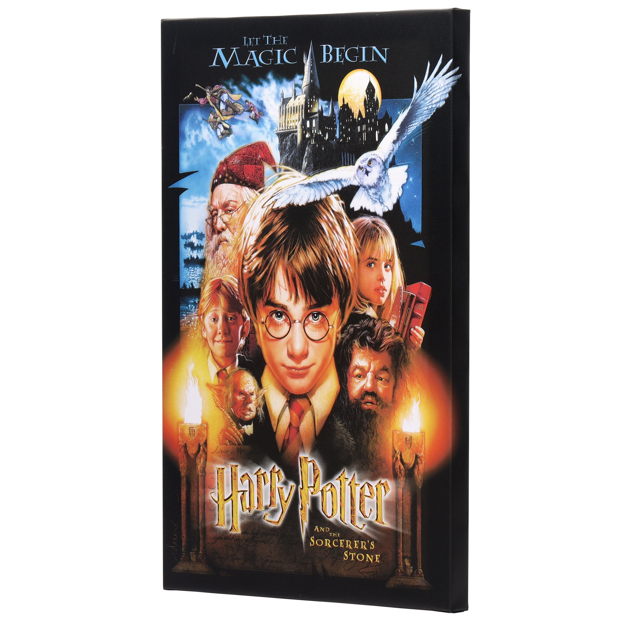 Harry Potter and the Sorcerer's Stone Movie Poster Wood Wall Decor for Man Cave, Movie Room, or Game Room