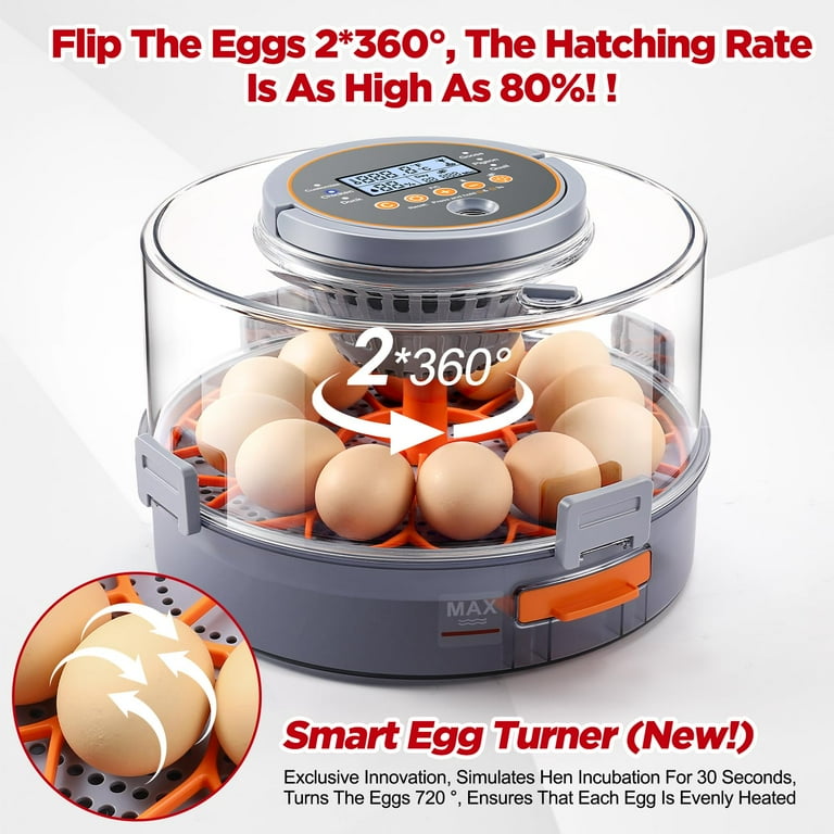 Oneamg Egg Incubator, 12-40 Eggs, Automatic Turner, Humidity