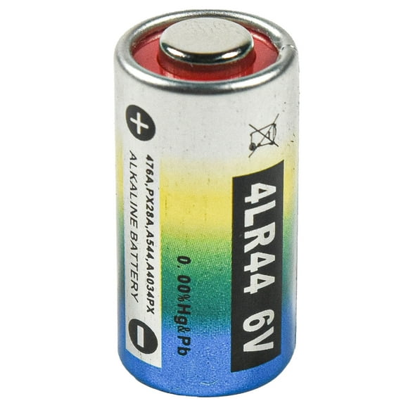 HQRP Batterie 6 Volts pour Innotek ADV-300 ADV-300E ADV-300P ADV-300P-22 Collier pour Chien