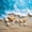 Beach 01, variant on Manfei Beach Starfish Seashell Full Size Sheets for Kids Boys and Girls, Coastal Ocean Print Bed Sheets 4-Piece, 1 Flat Sheet, 1 Fitted Sheet and 2 Pillowcases