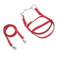 thumbnail image 1 of Adjustable Horse Bridle Rein, Nylon, Rope Bungees, Equestrian Gear Horse Side Rein, Enhanced Control And Comfort Horse Snaffle Jumping Bridle Headstall Equestrian Rein, 1 of 7