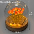 thumbnail image 4 of Lámpara nocturna ALYMACK Tulip Globe de cristal con base de madera, 4 of 8
