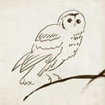 thumbnail image 2 of Reeves, Tom 12x12 White Modern Wood Framed Museum Art Print Titled - Owl II, 2 of 4